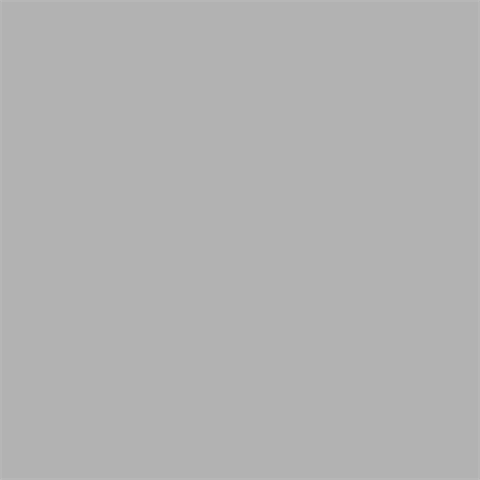 Load image into Gallery viewer, Superior achtergrondpapier 72 fossil gray 1,35 x 11m
