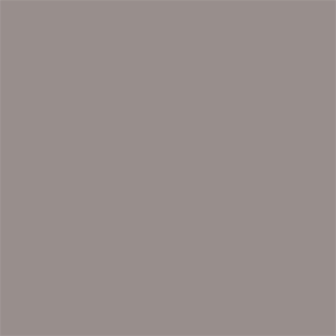 Load image into Gallery viewer, Superior achtergrondpapier 88 grey 3,56 x 15m
