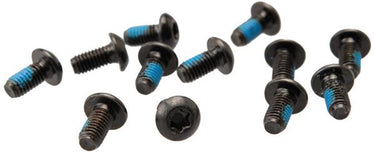 Hayes torx t-25 screws (pack of 12)
