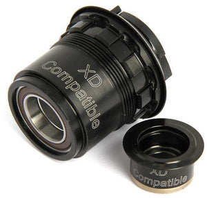 Dt swiss conversion kit sram xd pawl drive system freehub body