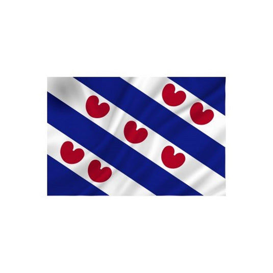 Dokkumer vlaggen centrale vlag friesland 50x75 cm spun-poly