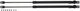 Wiha 246301 gasveren voor gereedschapkoffer xxl iii 25 mm - 44562