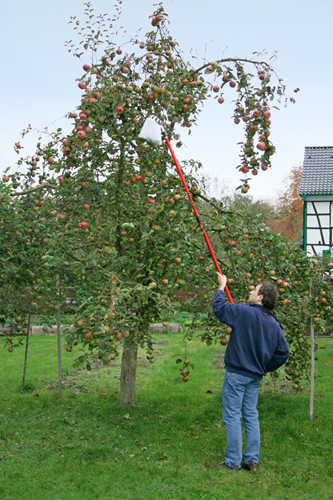 Meister fruitplukker met telesc. steel - wu9890020