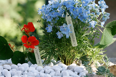Meister tuin etiketten 100 mm - wu9970320