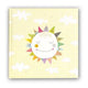 Zep 15362n pergamin album 30 sheets 30x31 cm