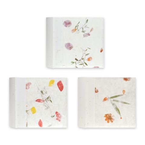 Afbeelding laden in galerijviewer, Zep RP46200 Album Slip-in 200 photos 10x15 cm
