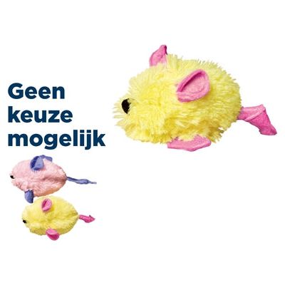 Kong Kat kitten muis