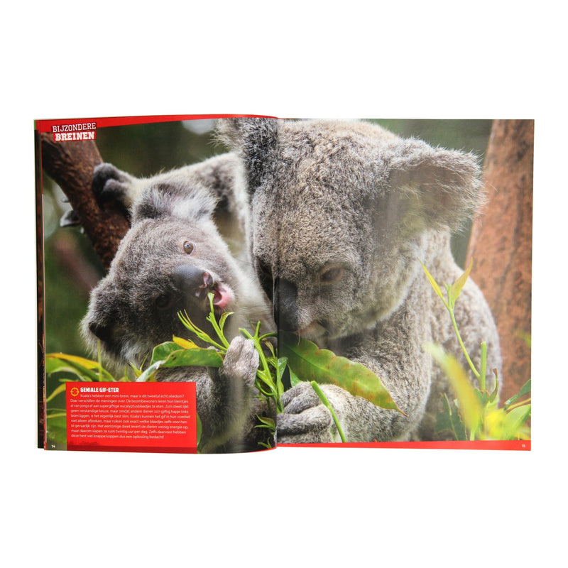 Load image into Gallery viewer, National Geographic Junior Super Slimmeriken
