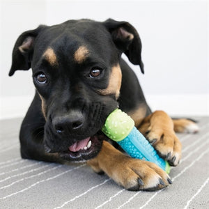 Kong Corestrength bone