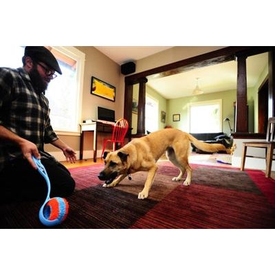 Load image into Gallery viewer, Chuckit Indoor roller
