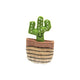 Fofos Cactus mexico