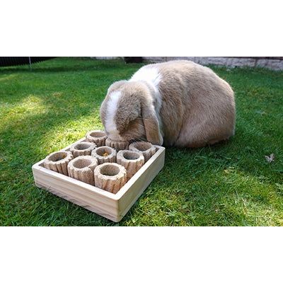 Rosewood Hide 'n' treat forage tray