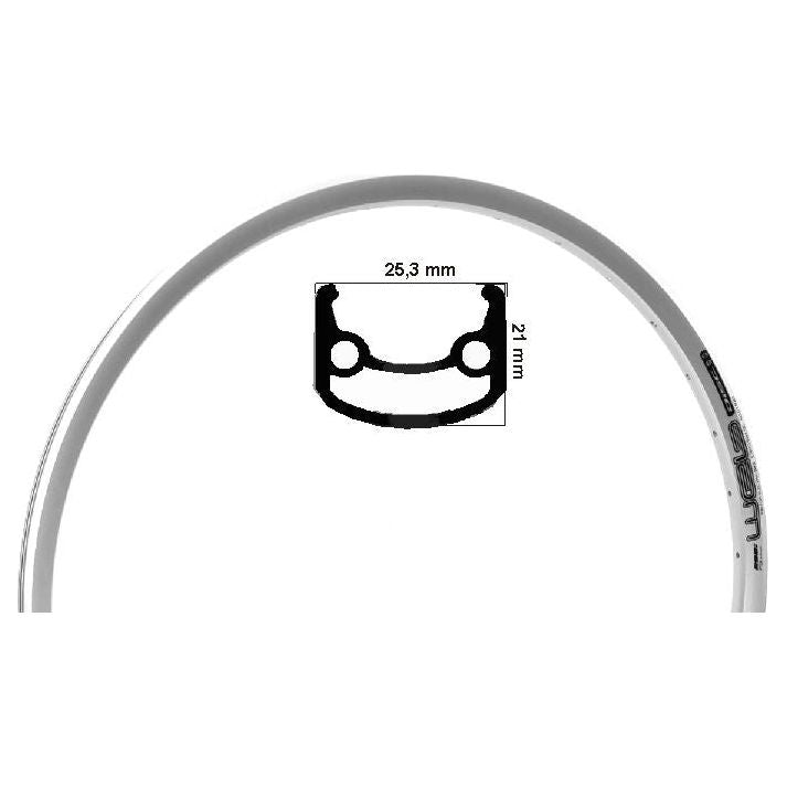 Rodi web disk (disc brake) e-bike rim 26 inch 559 zil 36 holes hole 14