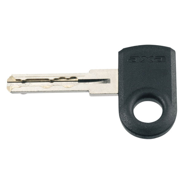 Frame lock Defender with removable key - gray