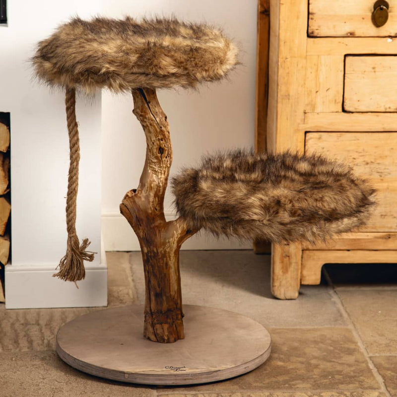Load image into Gallery viewer, Designed by Lotte Designed by Lotte Krabmeubel Aviva 50x50x68 cm hout
