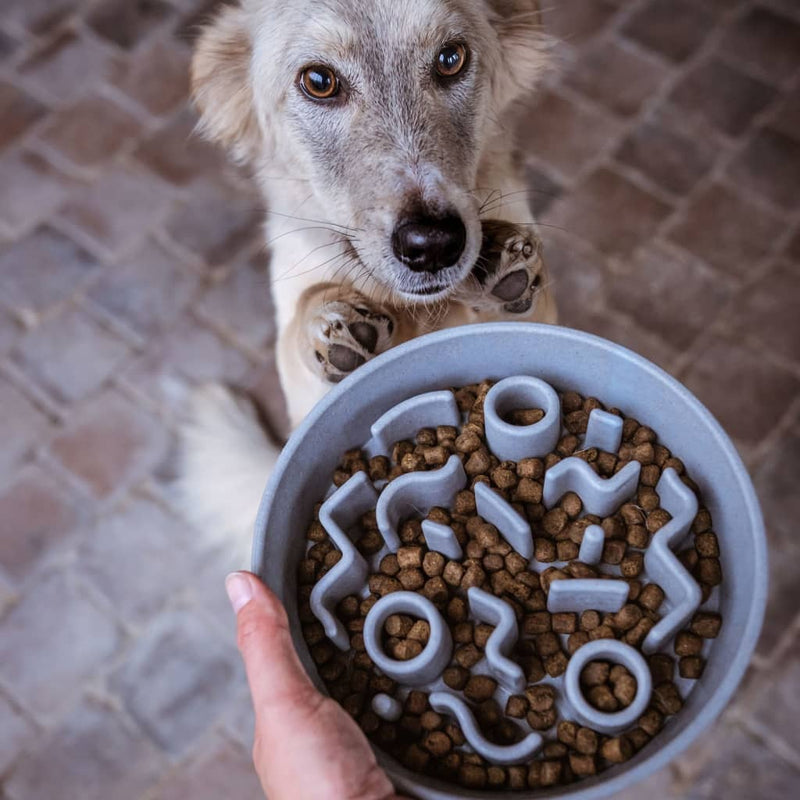 Load image into Gallery viewer, DISTRICT70 DISTRICT70 Slowfeeder voor honden 28 cm bamboe ijsblauw
