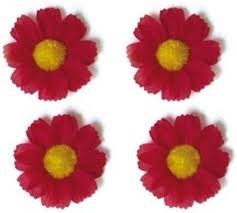 Basil flower 4 magrietjes red 50188