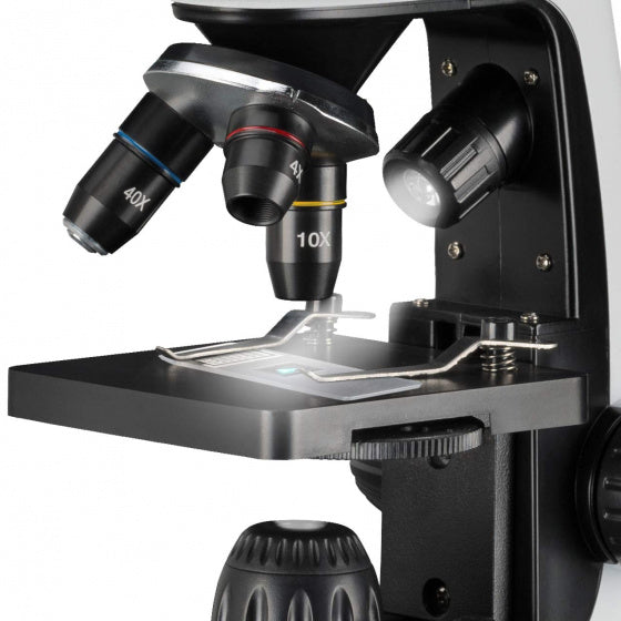 Load image into Gallery viewer, Bresser Microscoop 40x-2000x junior 30 cm staal wit 8-delig
