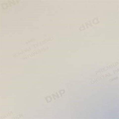 DNP Standard Paper DSRX1HS-4X6 2 Rolls of 700 St. 10x15 for DS-RX1HS