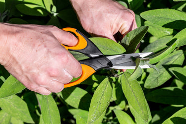 Masterclass Kruidenschaar 15 cm RVS rubber zwart oranje