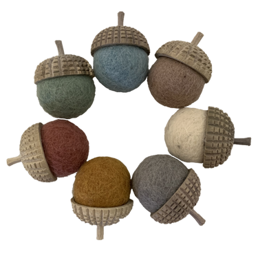 Papoose Toys Papoose Toys Earth Acorns 7pc
