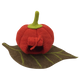 Papoose Toys Papoose Toys Fairy Pumpkin House and Mat