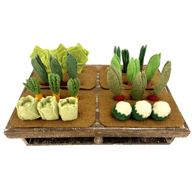 Papoose Toys Papoose Toys Grow-a-Garden 24pc