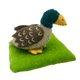 Papoose Toys Papoose Toys Lucky Duck Book + Toy
