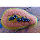 Papoose Toys Papoose Toys Papaya 2pc
