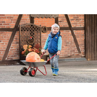 Rolly toys Stalen kruiwagen junior zilver rood