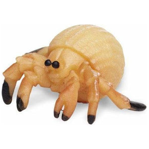 Safari Heremietkreeften speelset 2,5 cm 192-delig