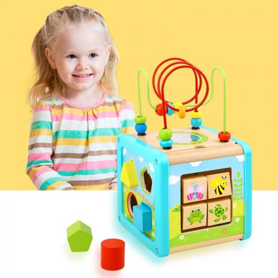 Load image into Gallery viewer, Tooky toy Houten Activiteitenkubus 18 maanden 6-delig
